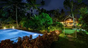 Mango Lantern - Image 3
