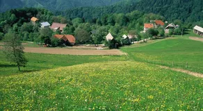 Farm Pri Flandru - Image 5