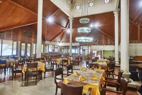 Patra Anyer - Image 5