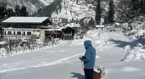 The Himalayan Cafe Thc - Image 3