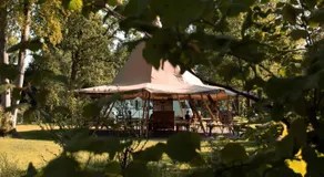 Cozy Treehouse Retreat in Overijssel - Image 3