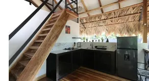 Evolution House Jungle Oasis - Image 5