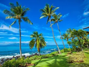 Mahina Surf 119 - Image 4