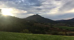 Loretxea - Image 4