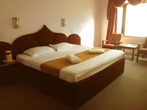 Hotel Manali Castle - Image 2