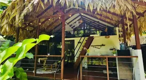 Evolution House Jungle Oasis - Image 3