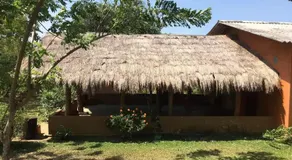 The Happy House Nature Retreat - Image 5