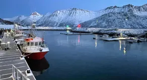 The View of the Senja mountains - Image 3