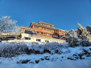 Hotel Bergsonne Rigi   - Image 5