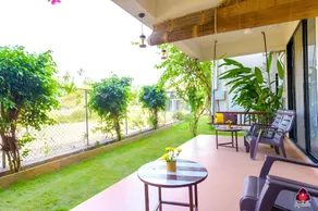 Bougainvillea - Image 4
