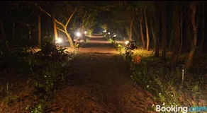 Anariya at Gokarna - Image 5