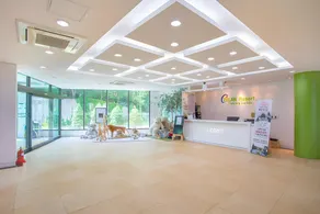 Azelan Resort - Image 2