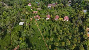 Tea Terrace Vythiri Resort - Image 2