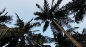 BRK Guest House - Image 5