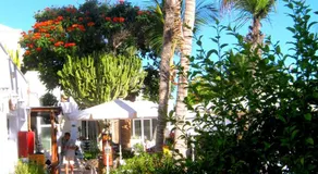 Apartamentos Tamarindos - Image 3
