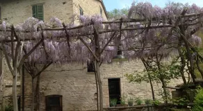Mulino Della Ricavata - Image 3