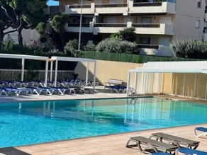 Blue Palm - Image 4