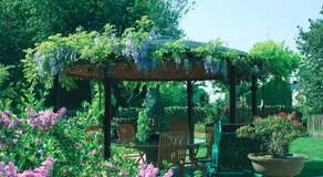 B&B Wisteria - Image 4