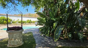 Gardel Nature - Image 4