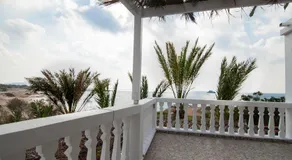 Palmhouses - Image 5