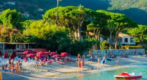 Mazet « Domaine de la pinède » - Image 3