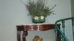Appartement Hippolyte - Image 5