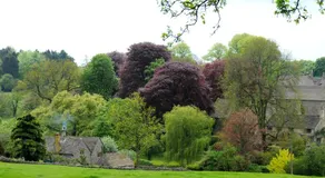 Campion Glamping Pod - Image 4