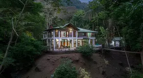 The Jungle Inn - Image 5