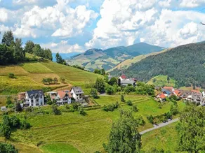 Apartment in Pfaffenberg near Ski Slopes - Image 4