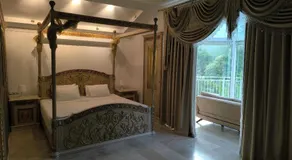 Amazonica MAGİC DREAM - Image 2
