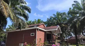 仙本那棕榈湖度假村Palm Lake Resort - Image 3