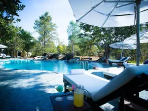 Singinawa Jungle Lodge Kanha - Image 2