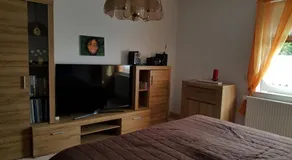 Ferienhaus am Geiseltalsee - Image 2