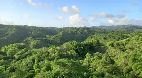Parakeet Hideaway - Image 5