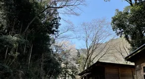 YAMAYA BASE 1 - Image 4