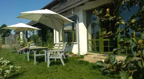 Chamedafne w Puszczy Kampinoskiej - Image 4