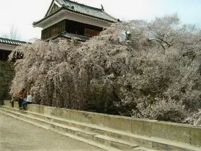 Pension Noichigo - Image 4