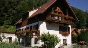 appartement vue sur la montagne - Image 3