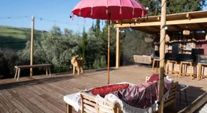 Finca Amorosa - Image 4