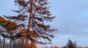 La Pausa Verda - Image 2