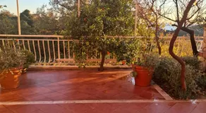 Apartman Mirjana - Image 5
