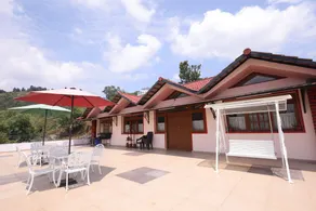 The Forest Haven  - Image 4
