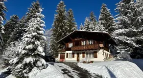 Bijou Spatz TWO near Oeschinen Lake - Image 3