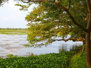 Bestlife Eco Resort Mattala Airport - Image 4