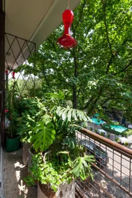 Casa Itzae B&B Polanquito Dog Friendly - Image 3
