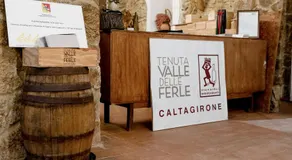 Tenuta Valle delle Ferle - Image 4