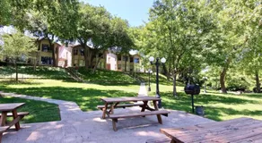Comal River Bliss - Image 3