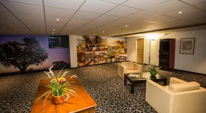 Hotel Höri Inn - Image 5