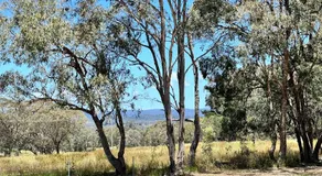 Stanthorpe Country Retreat 'Ash Haven' - Image 4