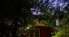 Un trozo de bosque en la ciudad - Image 3